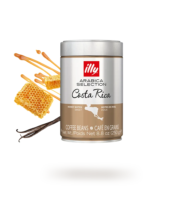 illy - Arabica Selection - Costa Rica - 8.8oz Can