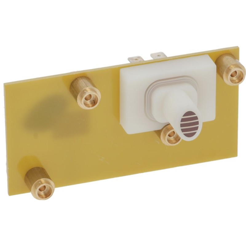 Rancilio Coffee Switch With Light13 10111036