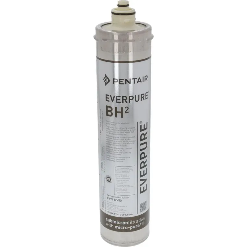Water Filter Everpure Type Bh2 Capacity