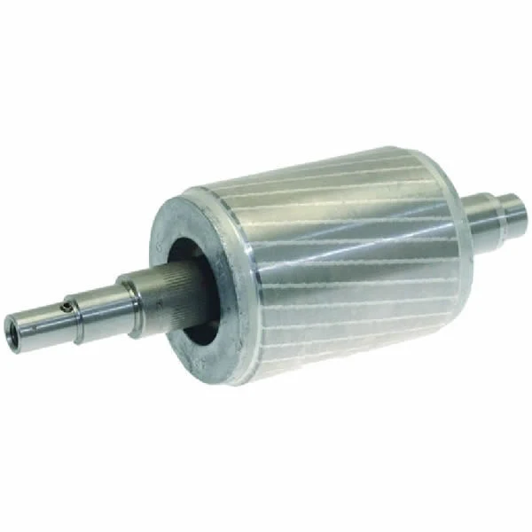 Mazzer Super Jolly/Kony Motor Rotor