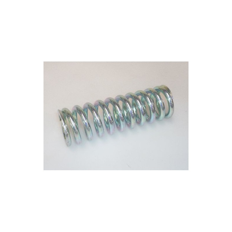 Nuova Simonelli Spring 45x142 Mm 17000020