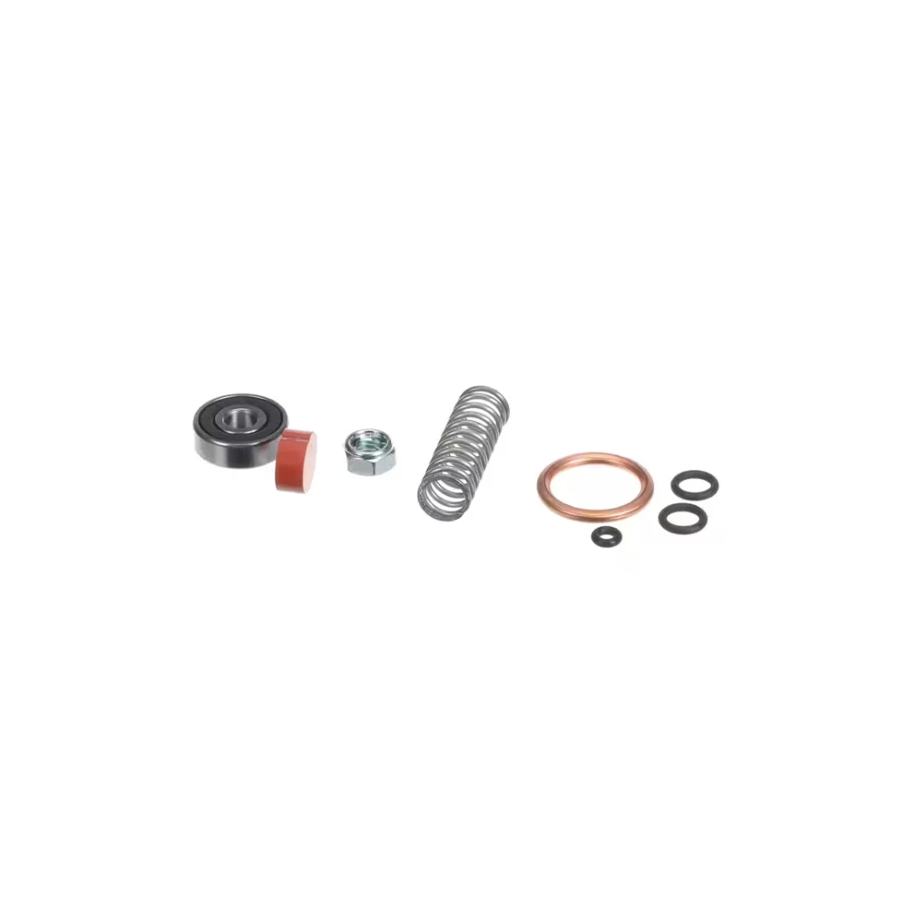 Sanremo Steam Valve Front Rebuild Kit - Old F18