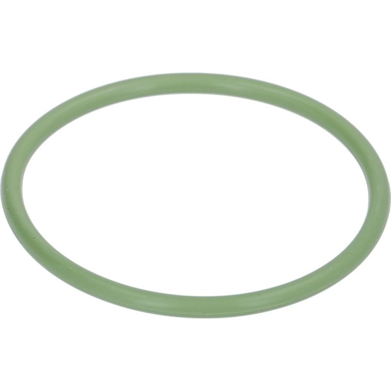 Victoria Arduino Oring 0161 Fkm Green 17010004