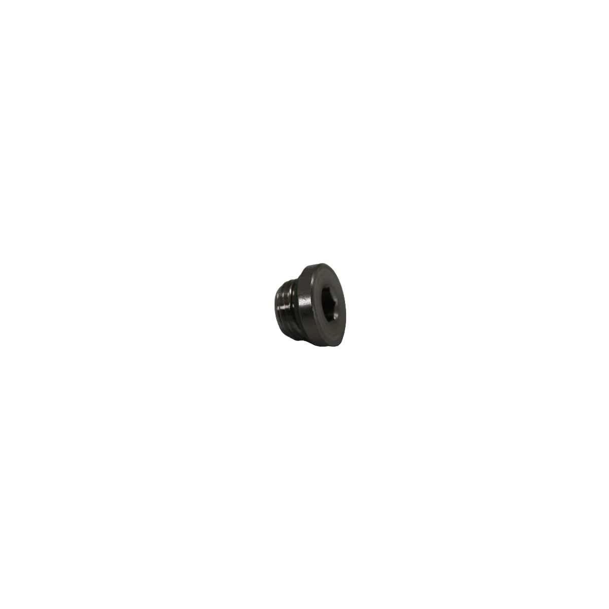 La Marzocco 1/8 Cap Plug for Drain Valve
