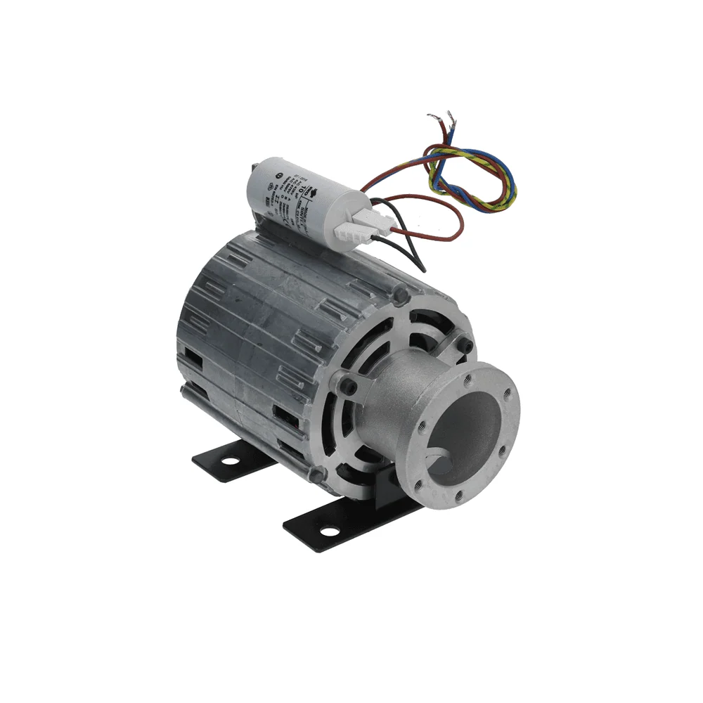 Standard Bolt Flange Rotary Vane Pump Motor 220V