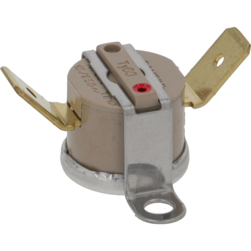Rancilio Thermostat 100 Silvia