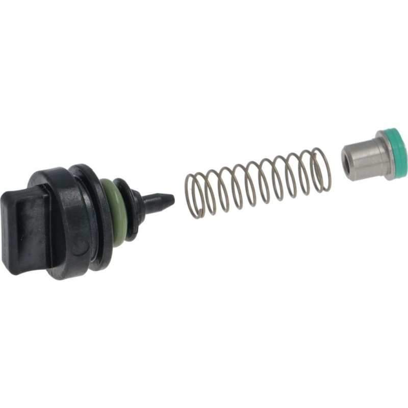 Rancilio Kit Check Valve Complete 69140047