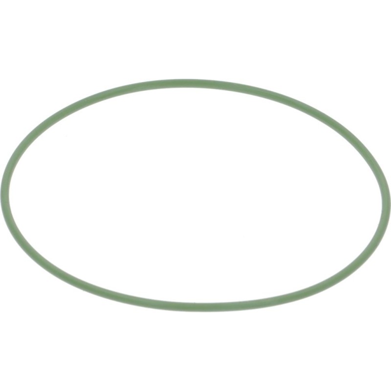 Ascaso Coffee Machines Boiler Gasket Fkm Green