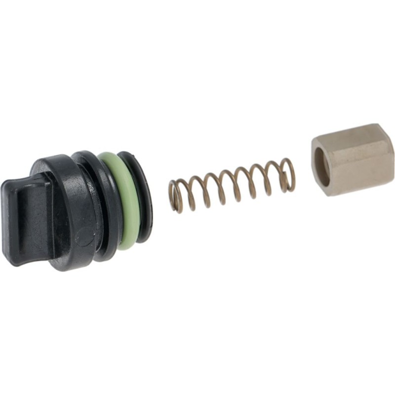 Rancilio Expansion Valve Hh21 101000035